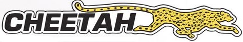 cheetah.2.jpg